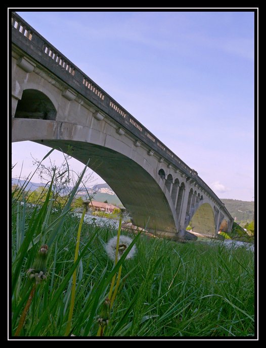 Pont sur le Rhône 2008-245