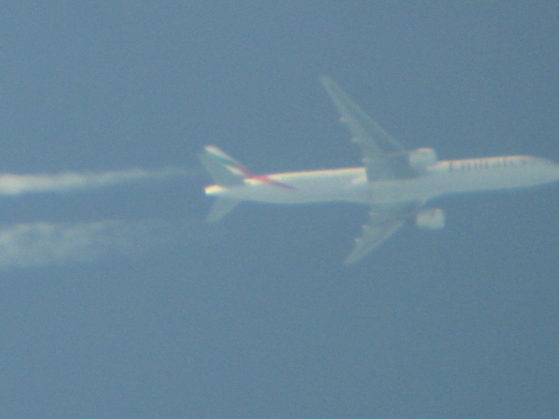 Spotting de ruta in Apuseni 777-3011