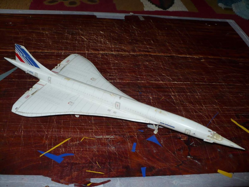 Modele de avion - 2008 Flota_13