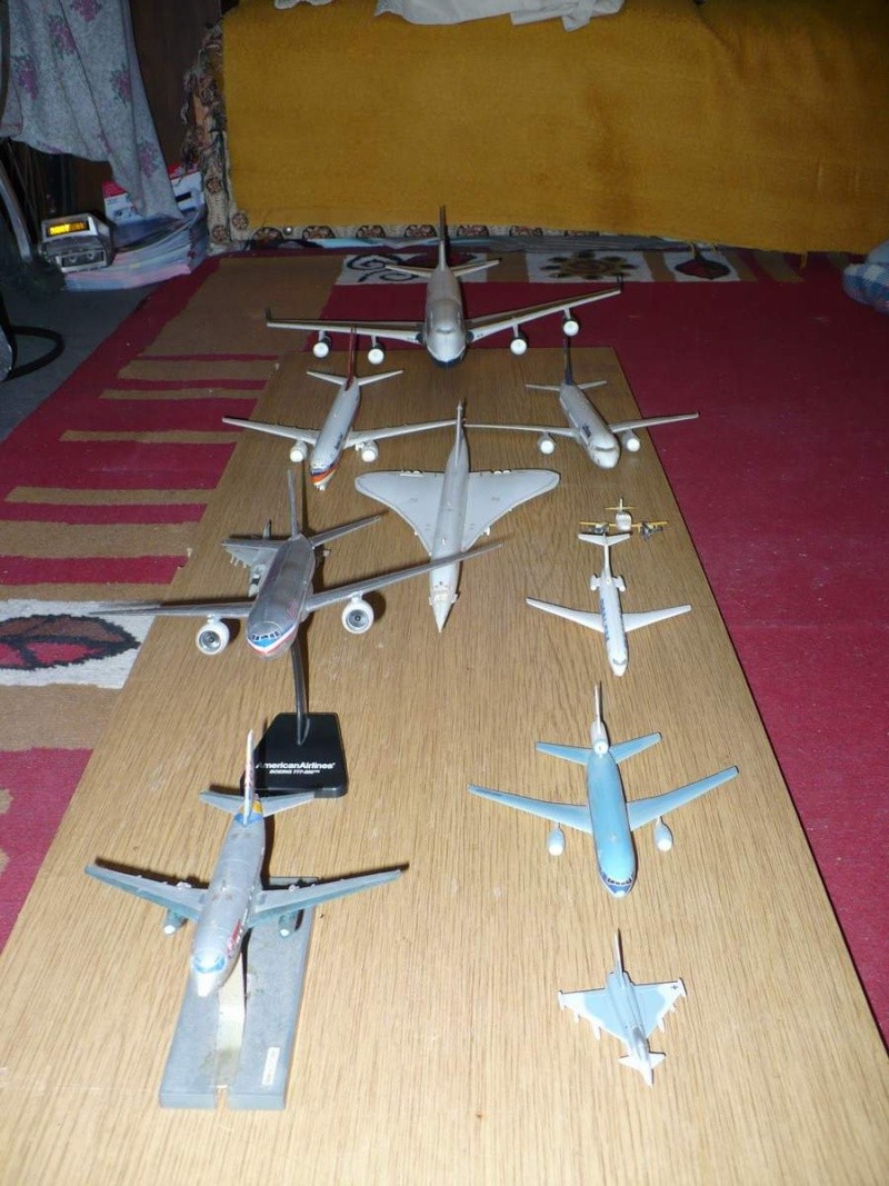Modele de avion - 2008 Flota_21
