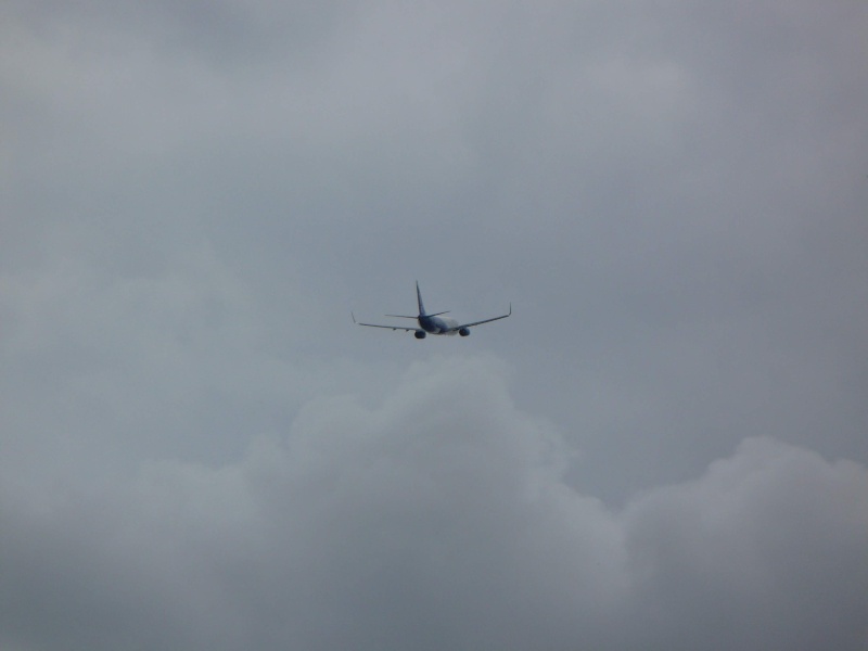 Cluj - spotting in 5 P1010925