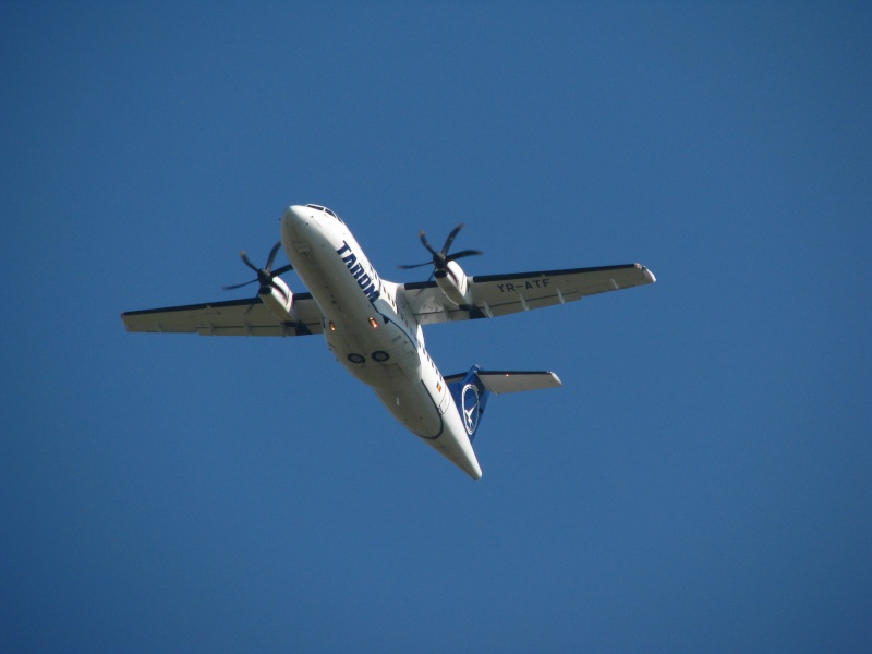 Aeroportul Oradea - Iulie 2011 Pictu162