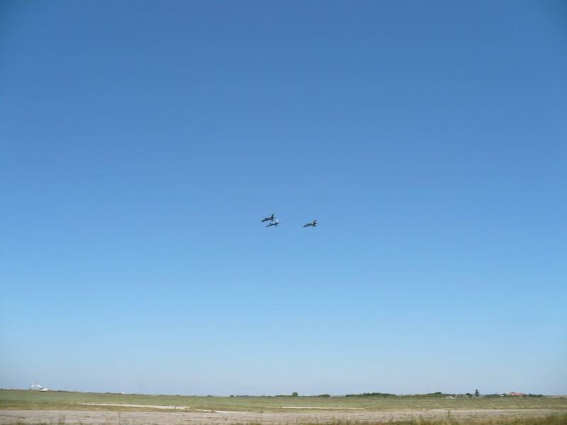 Meeting aviatic - 55 DE ANI DE AVIAŢIE MILITARĂ PE TIMIŞOARA Tsr2410