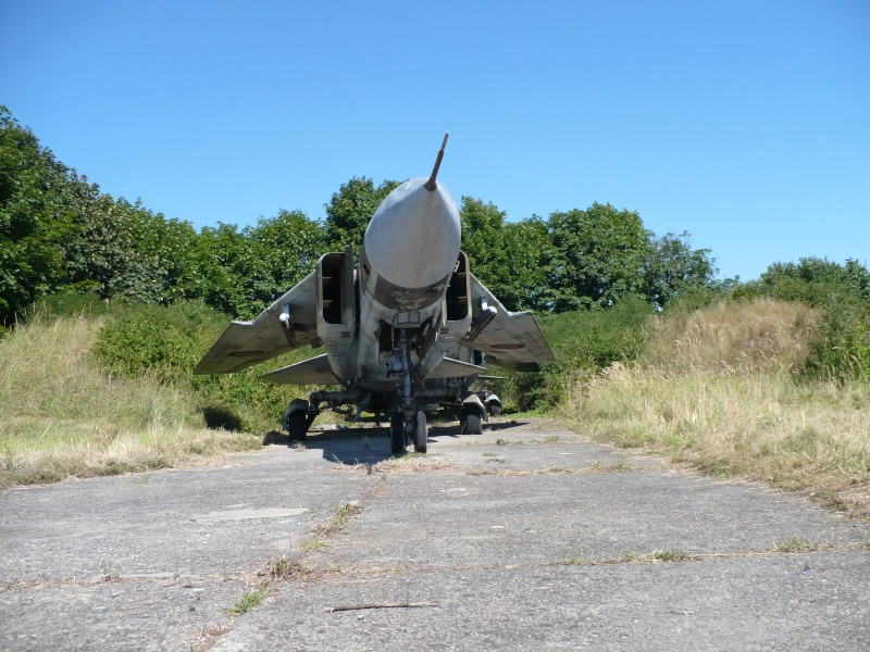 Meeting aviatic - 55 DE ANI DE AVIAŢIE MILITARĂ PE TIMIŞOARA Tsr810