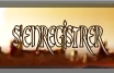 S'enregistrer
