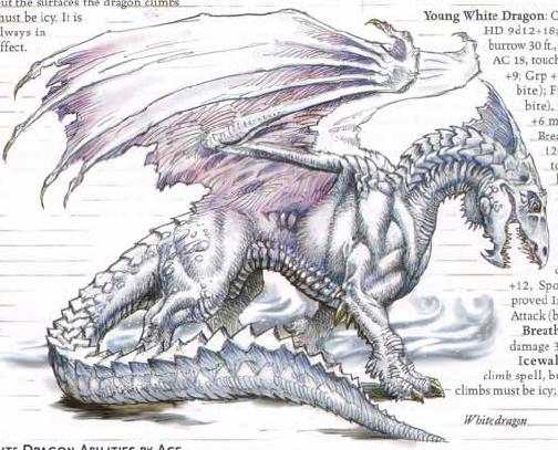 Ryuugin le dragon d'argent White_11