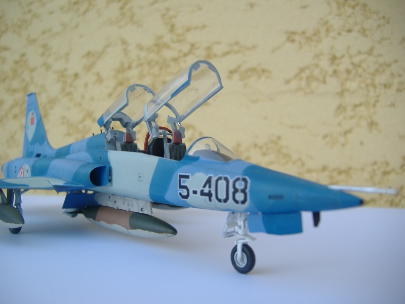 Northrop F-5B 1/72 . Fini_111