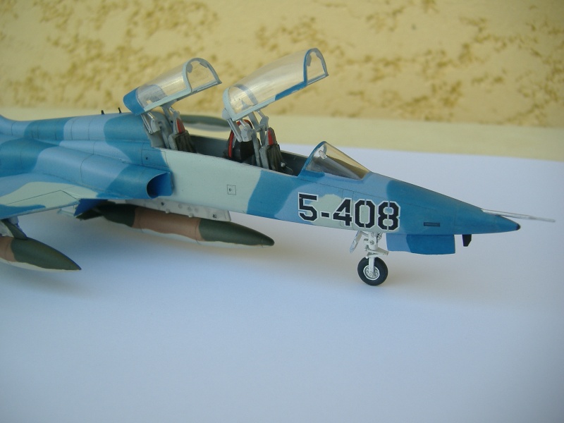 Northrop F-5B 1/72 . Fini_410