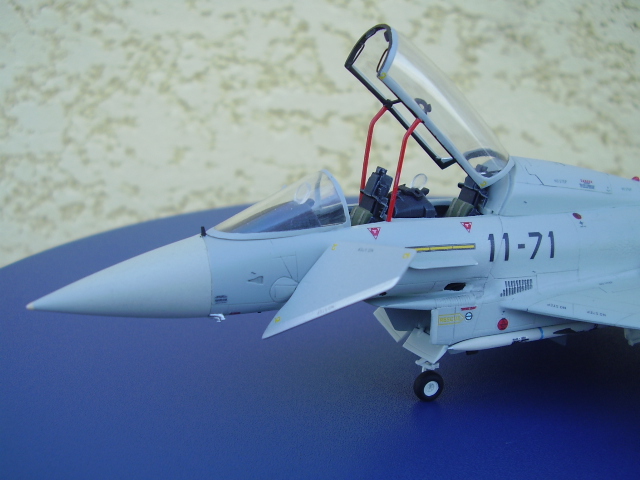 Eurofighter Typhoon . P2010011