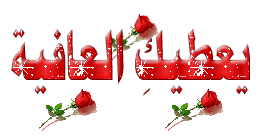 برياني الدجاج على الطريقة الكويتية 19326810