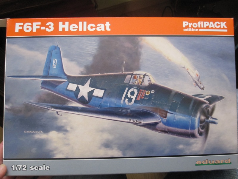 Hellcat F6F-3 Eduard 1/72 Img_2010