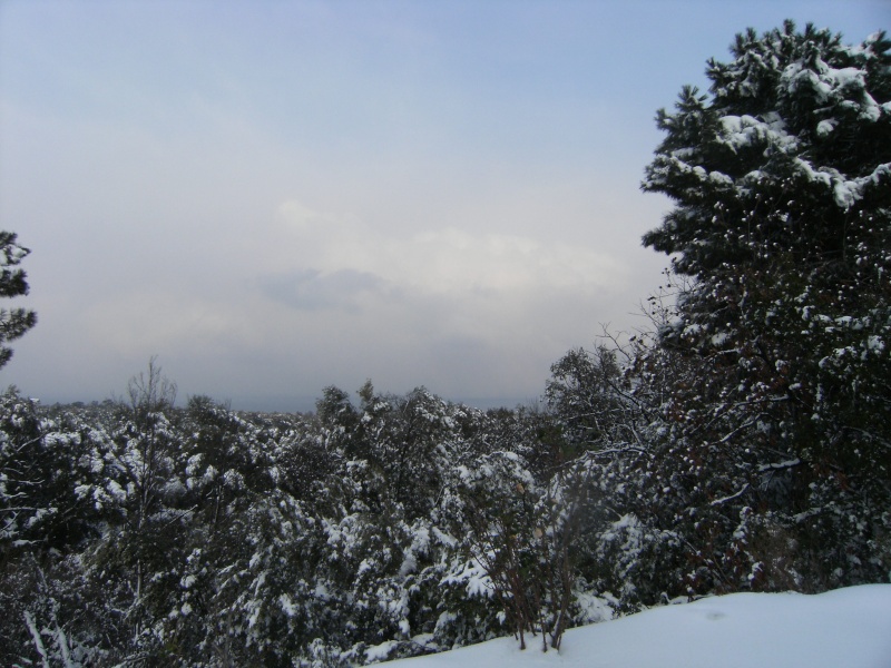 EN DIRECT. La neige paralyse la Haute-Corse Dscf1258