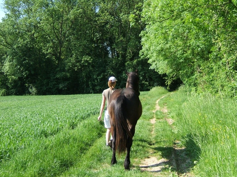 ballade de ce matin... Dscf5520