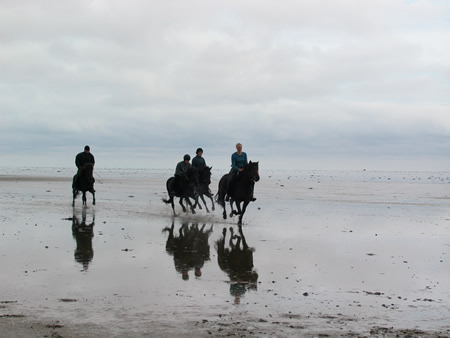 Konji na plai Galopp10