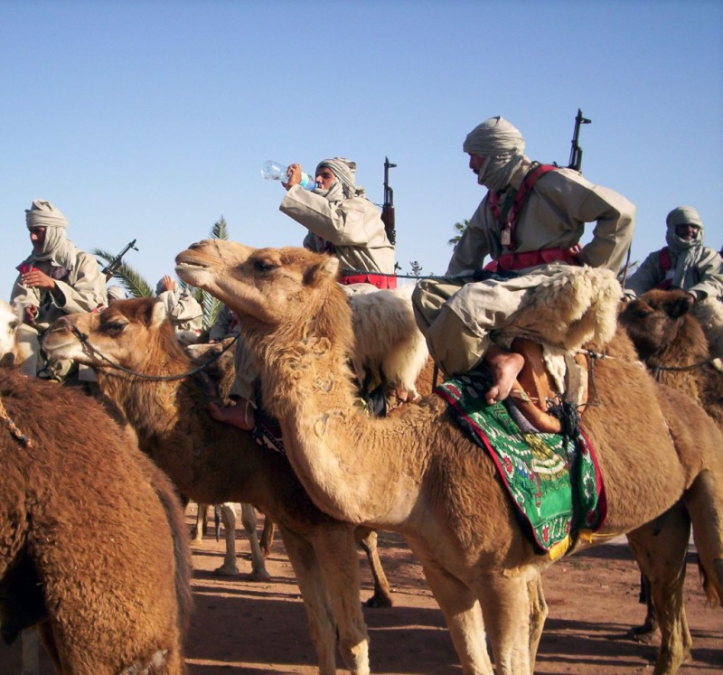 صور  رائعه  -   القوات المسلحة الملكية المغربية Mehari10