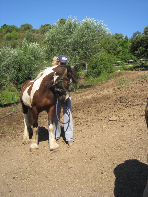 des nouvelles de Kéos d'alta corsica Romer_59