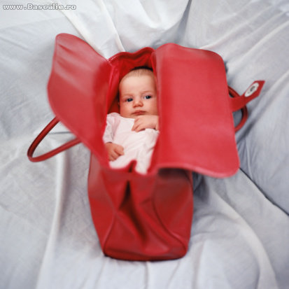 bagajul pentru maternitate L_462811