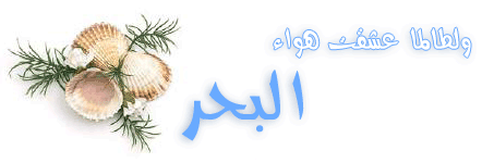 منتديات بحر الذوق