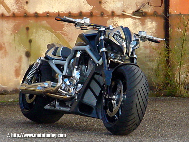 Photo V-ROD Harley11