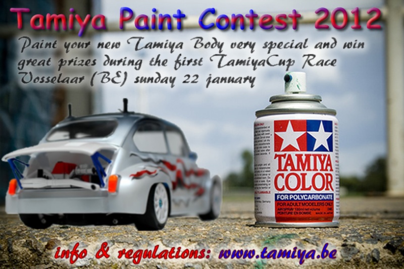 Tamiya Paint contest 2012 Paint_10