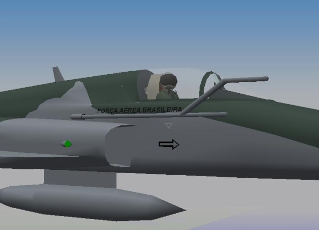 F-5EM FAB(IVO VERSION) F-5em110