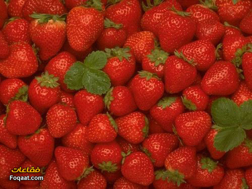 صور فاكهة .. تجنن Fruits11