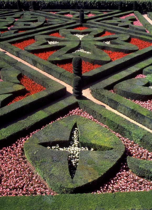 Jardins du Chateau de Villandry Image019