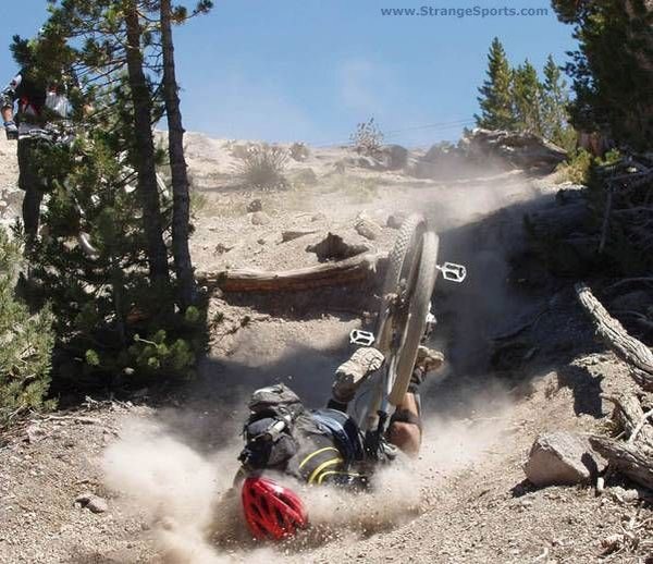 V MTB Sierra Morena 2008 Talega10