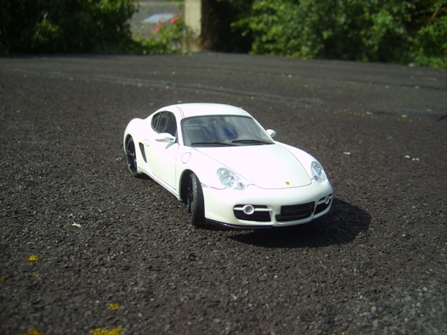 Porsche Cayman S S6002311