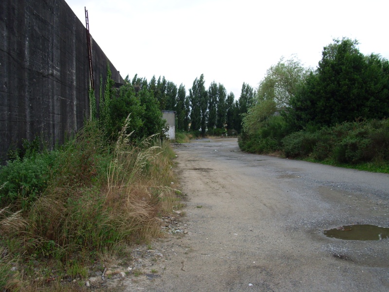 Terrain abandonner a Trignac Img_0069