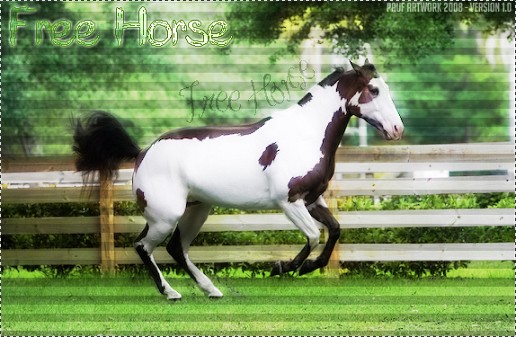 [ Free Horse ]