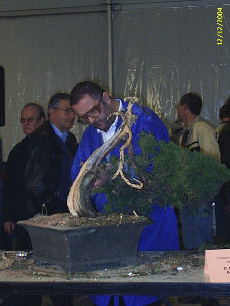 Premio Internacional para la Fuji Kyookai Bonsai Demo_m11