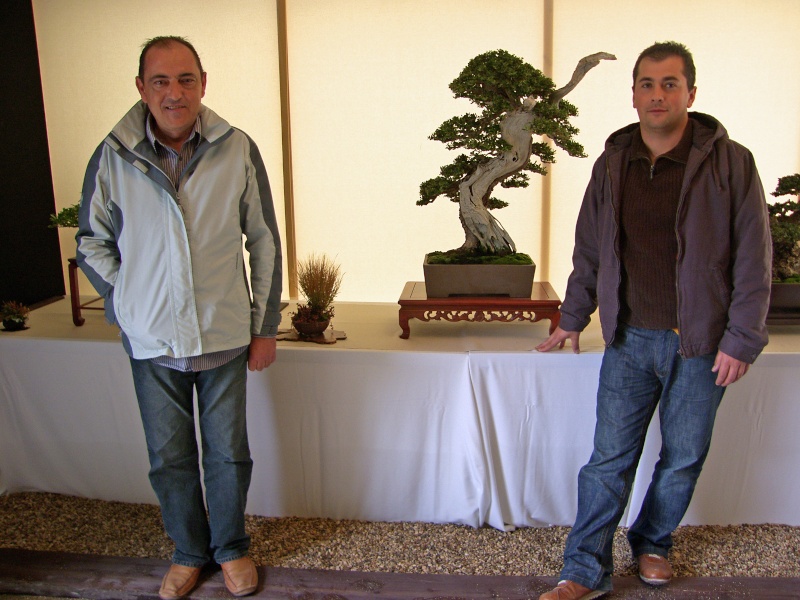 IV CONCURSO NACIONAL MUSEO BONSAI ALCOBENDAS Sh100910