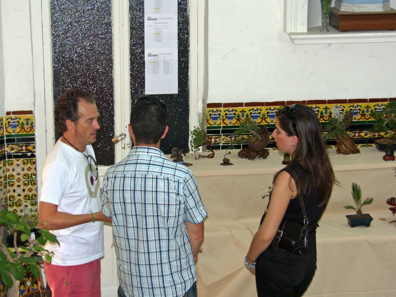 Muestra de bonsái de la Asociación el Taray (San Fernando) Sh108920