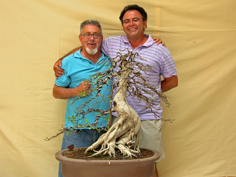 Muestra de bonsái de la Asociación el Taray (San Fernando) - Página 2 Sh108957