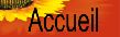 Accueil