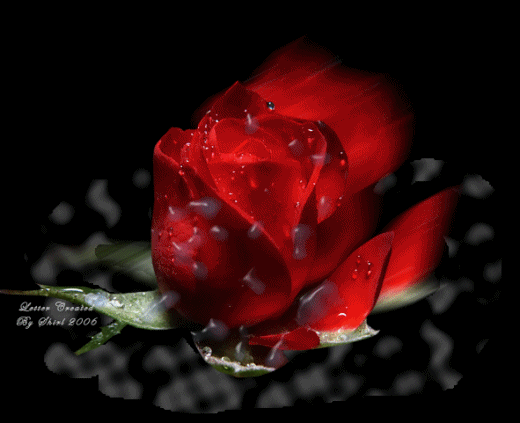 اهم شئ عاااشووو :) 53815510