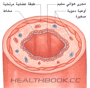 الربو Asthma 35776910