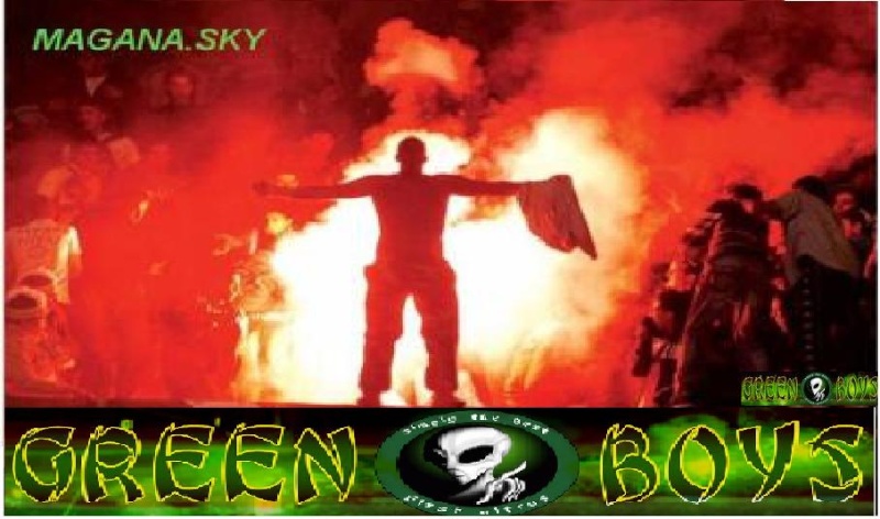 ultras green boys(raja d casablanca) 15871410