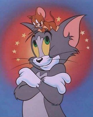 صور توم وجيري أصدقاء أعداء هههههههههه