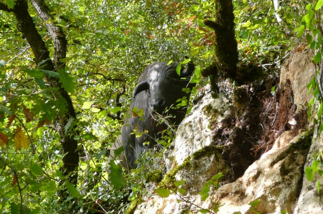 les grottes du roc de cazelle  dordogne P1000514