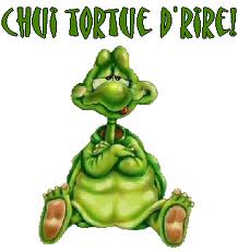 A toutes les tortues de France ! Image_12