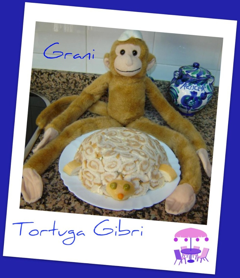 Tortuga Gibri Tortug10