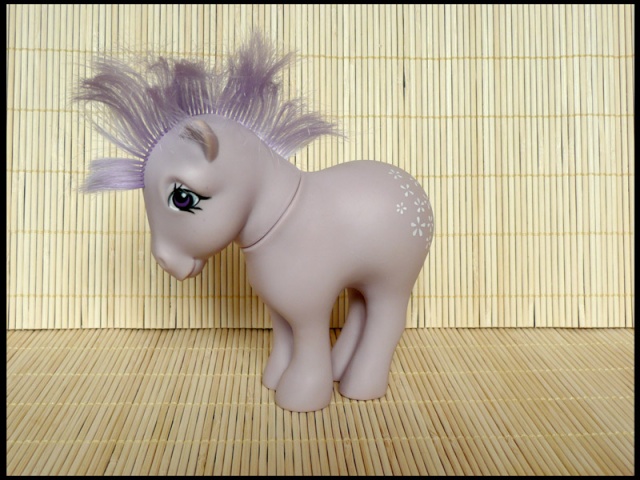 Psydo - Poneys d'enfance and Co :D - Page 16 P1080814