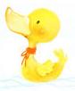 Avatars tổng hợp Duck11