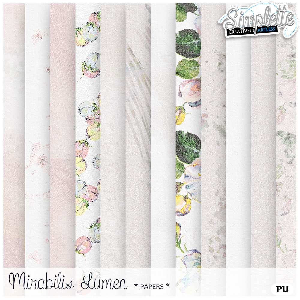 27 avril : Mirabilis Lumen Simpl308