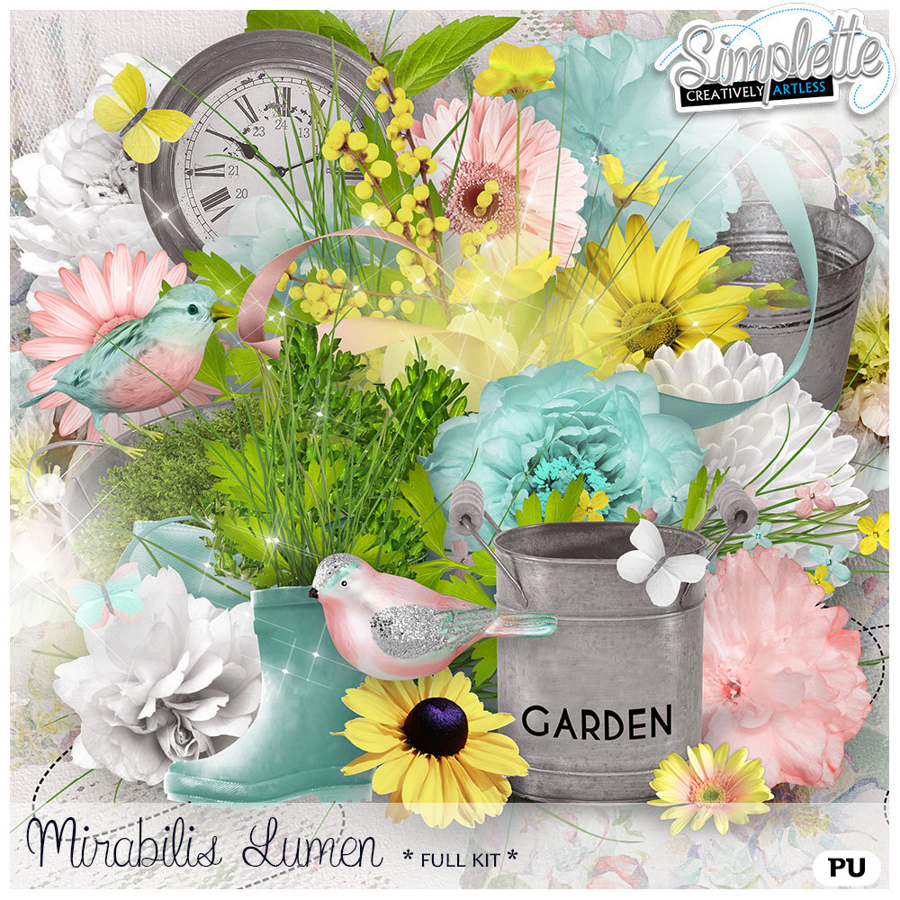 27 avril : Mirabilis Lumen Simpl309