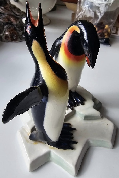 Aquila Penguins Aquila44