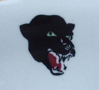 Is it a Panther?  Is it a Cougar? Vitrified ware for Australia Panthe10