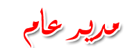 مدير لعام مدير لعام